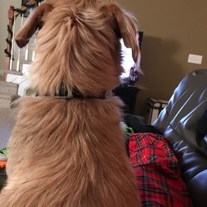 Meet your Posher, Shalyn